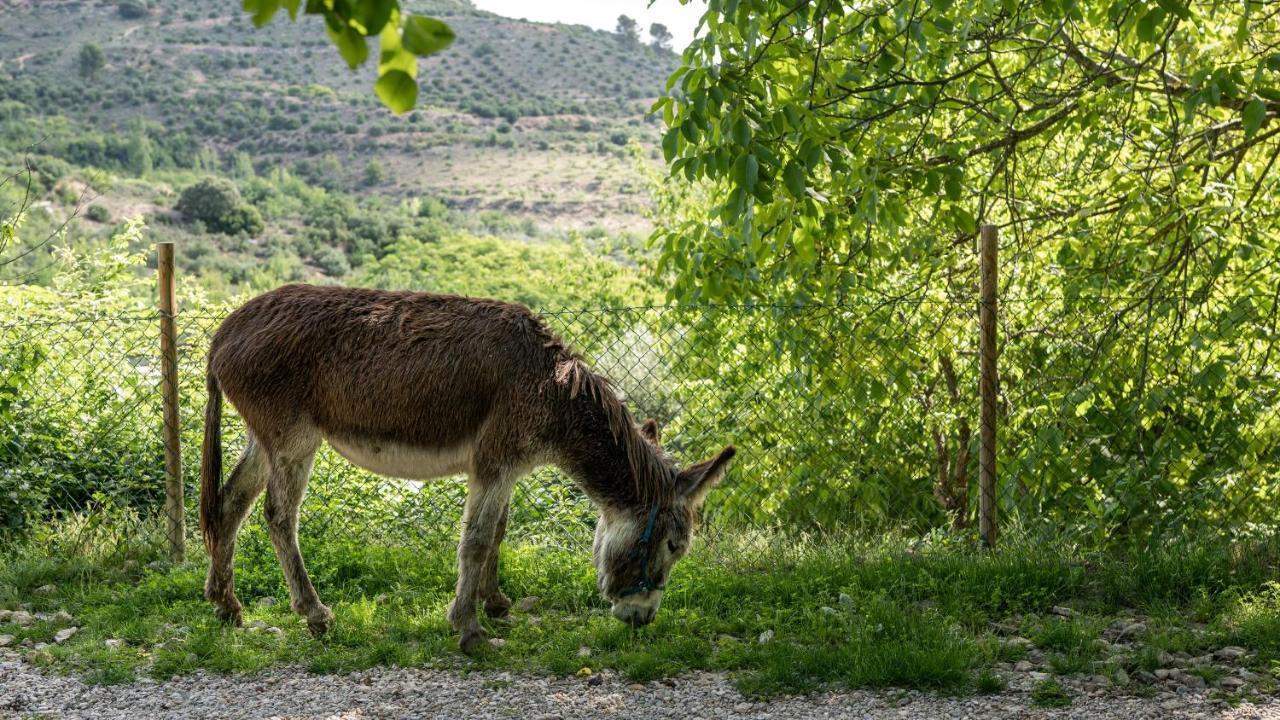 Casa Rural La Chocolateria Horche Екстериор снимка